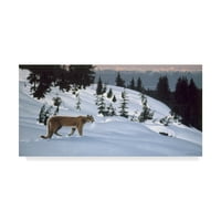 Zaštitni znak likovne umjetnosti' Cougar in Snow ' platno Art Ron Parker