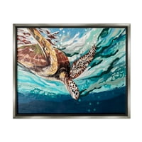 Stupell Industries prskanje morske kornjače ronjenje ispod površine okeana slikarstvo sjaj sivo plutajuće