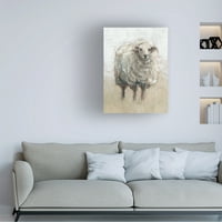 Artvas Art Art 'Fluffy ovce II'