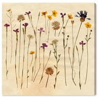 Wynwood Studio Cvjetni i botanički zidni umjetničko platno Otisci 'Vintage Cvijeće' Cvjetnice - smeđa,