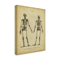 Zaštitni znak Likovne umjetnosti 'Anatomija Studija I' Canvas Art by Wilkes