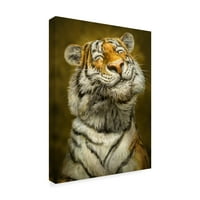Zaštitni znak likovne umjetnosti nasmijana tigar umjetnost patricka lamontagne