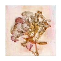 Judy Stalus' Remembered Flowers III ' platno Art