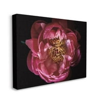 Stupell Industries Peony Flower tučak minimalna ružičasto žuta fotografija platno zid Art dizajn Elise Catterall, 36 48